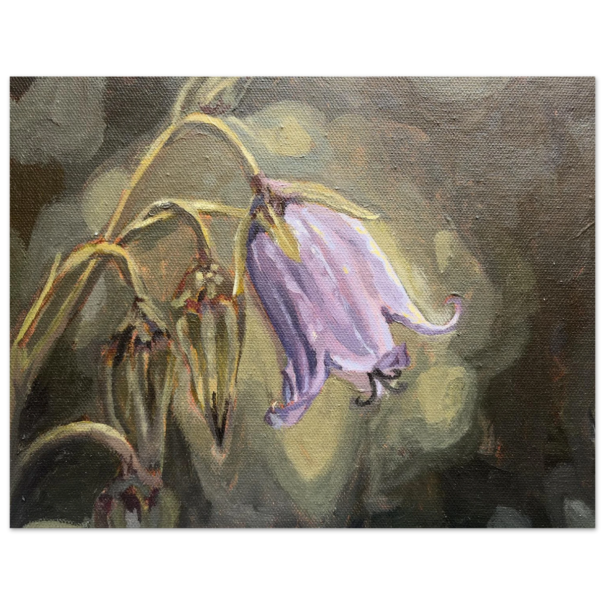 53913c93-f0aa-4c0b-b934-1ef0c1425811
