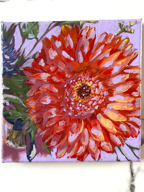 Gerbera Jamesonii, 8x8 Inch Original